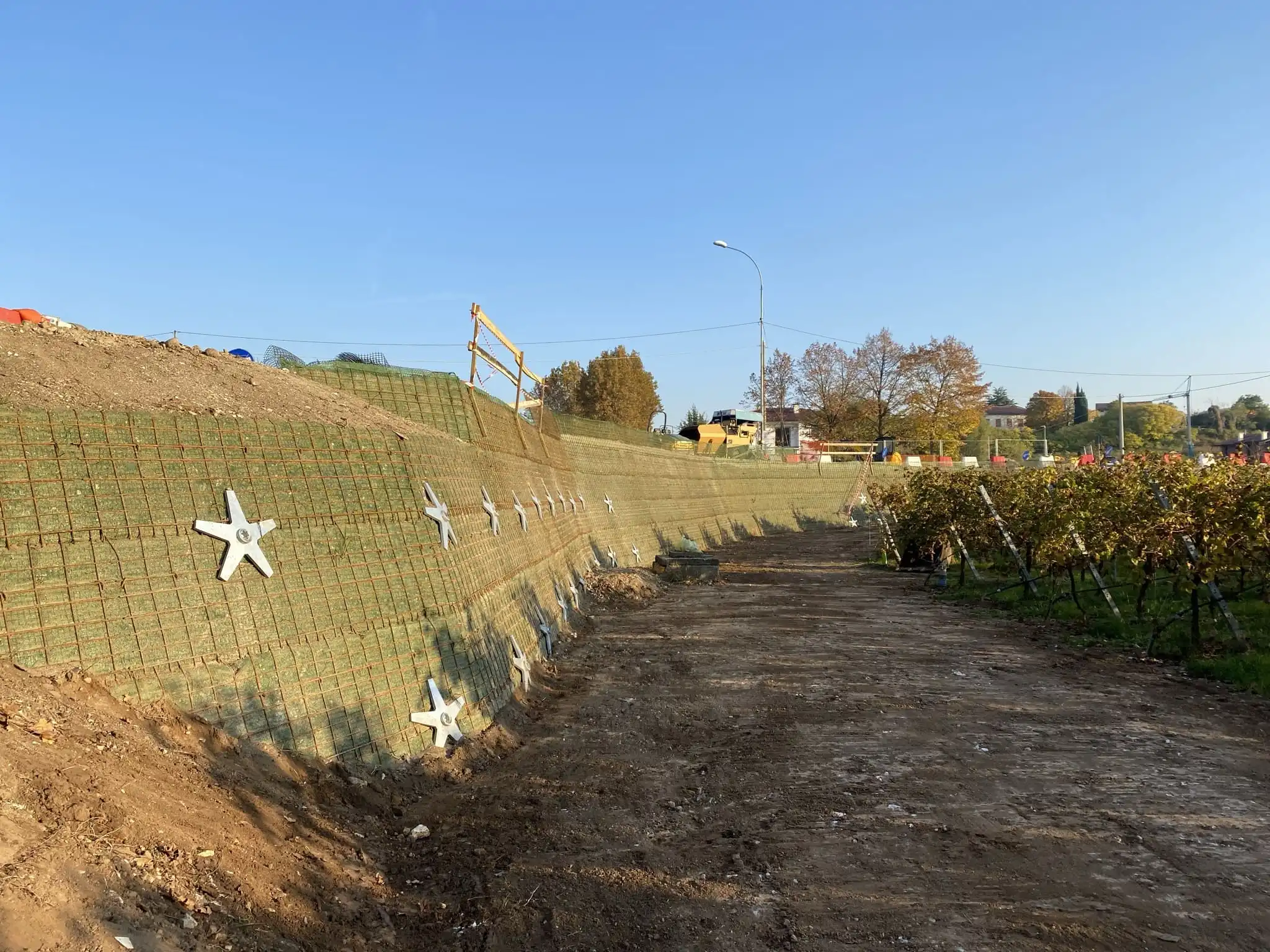 Anteprima intervento Green Walls