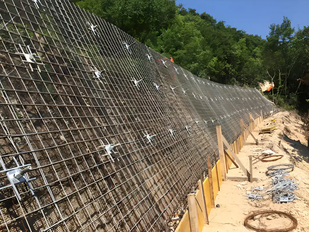 Anteprima intervento Green Walls