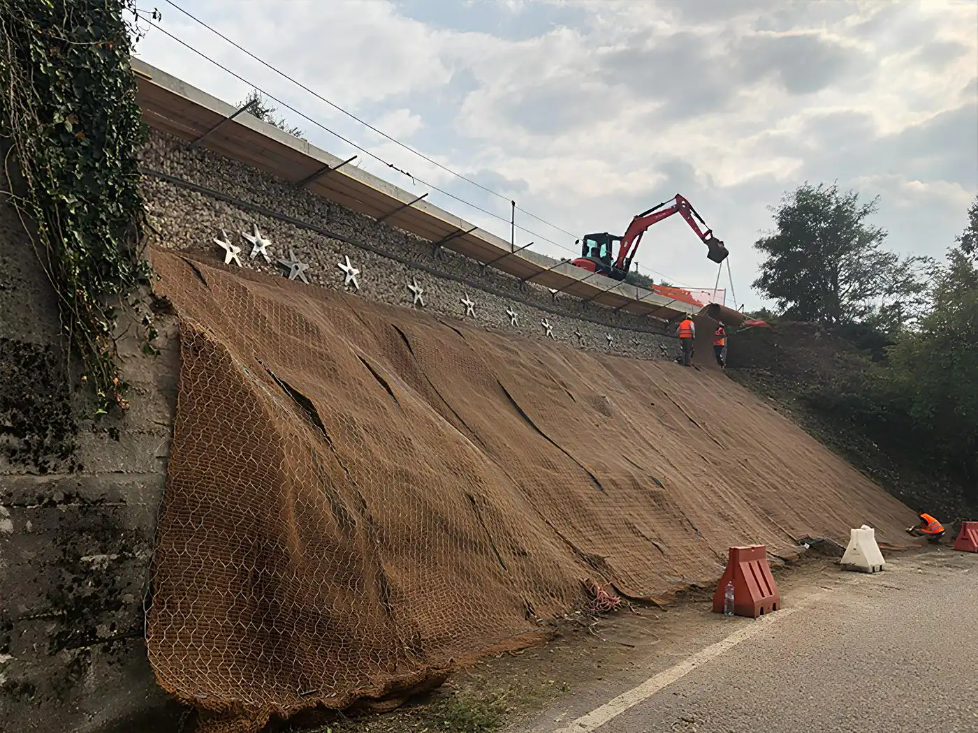 Anteprima intervento Green Walls