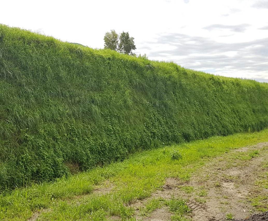 Valle erbosa con barriera paramassi verde