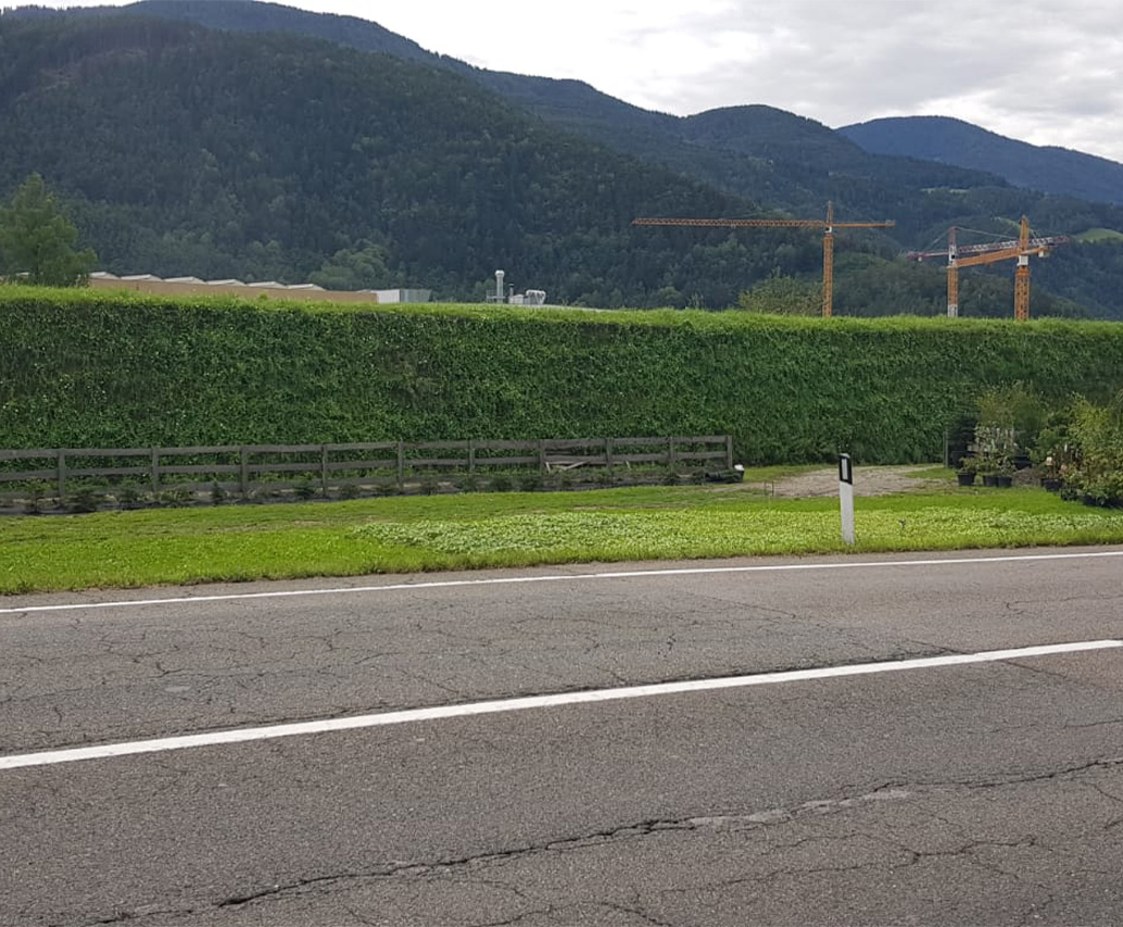 Pendio rinverdito con cartello e barriera