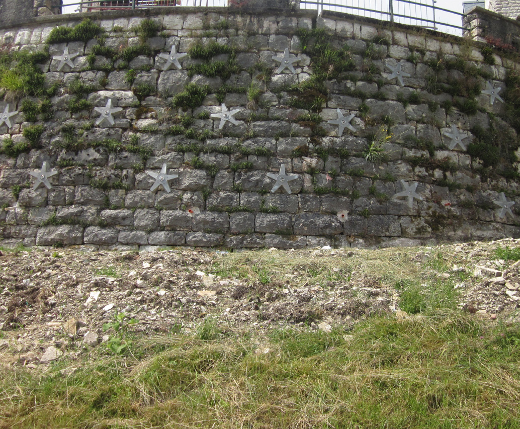 Parete chiodata con puntoni e cassaforma