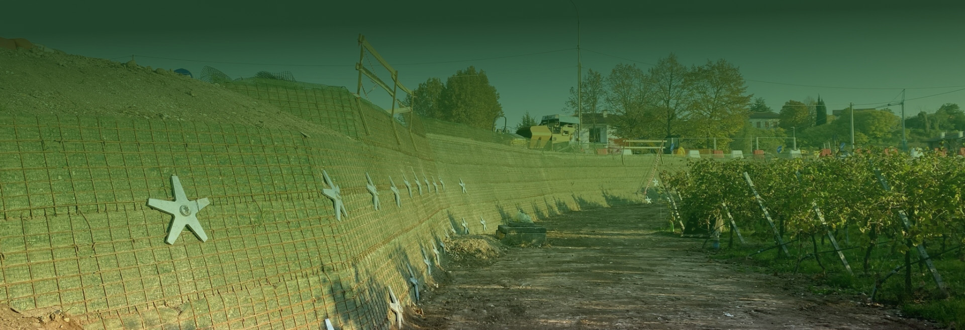 Pendio con geogriglia e vigneto su collinao