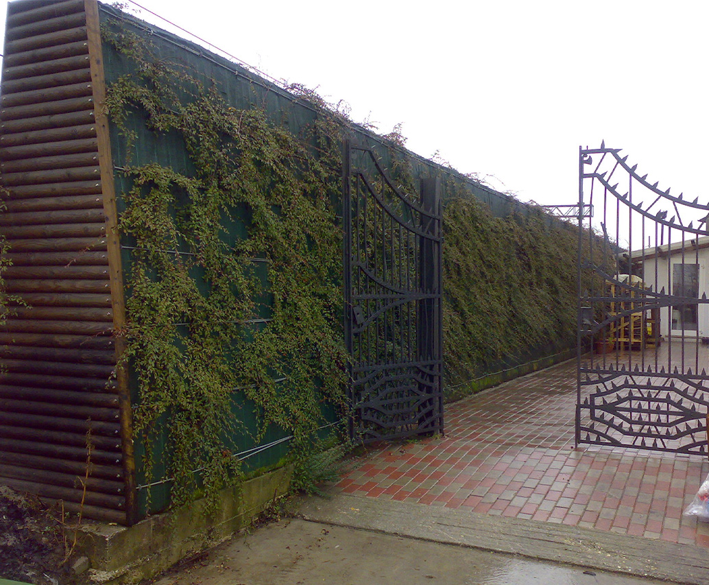 Barriera in legno con vegetazione
rampicante