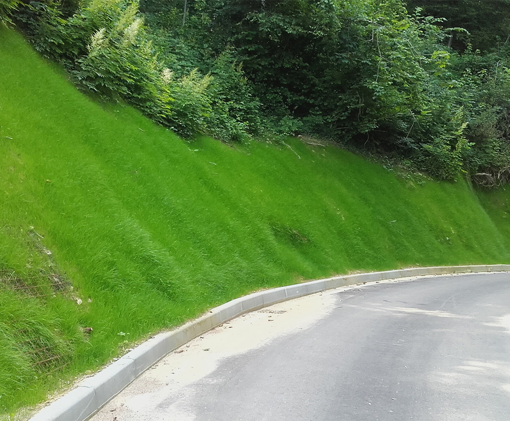 Pendio erboso lungo la strada