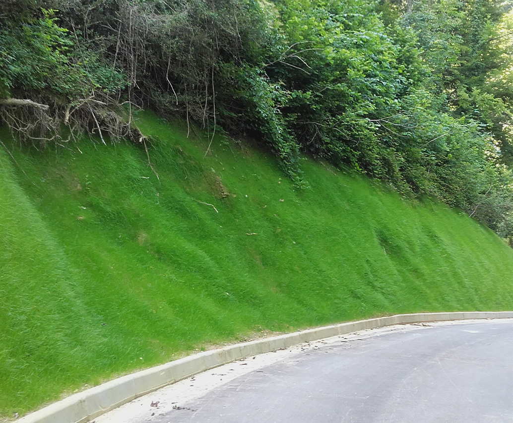 Campo sportivo e scarpata