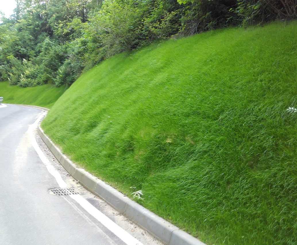 Pendio erboso con guardrail