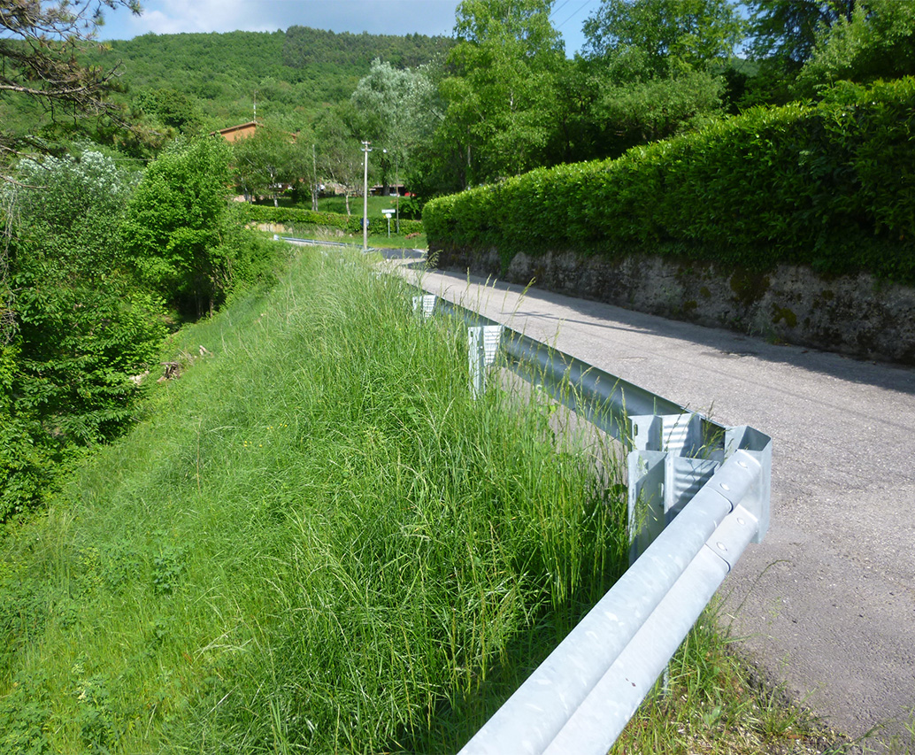 Strada con scarpata rinverdita