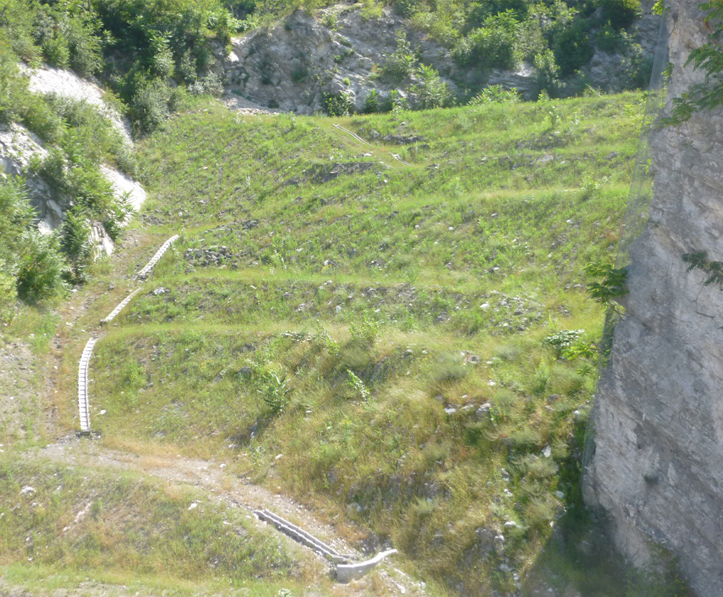 Idrosemina erbosa su vallata